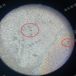 芒硝法沉淀钡制备漆膜表观黑点（显微镜下）